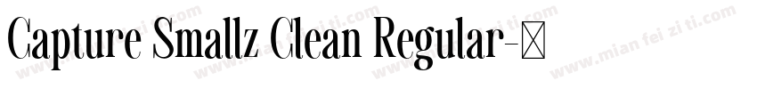 Capture Smallz Clean Regular字体转换